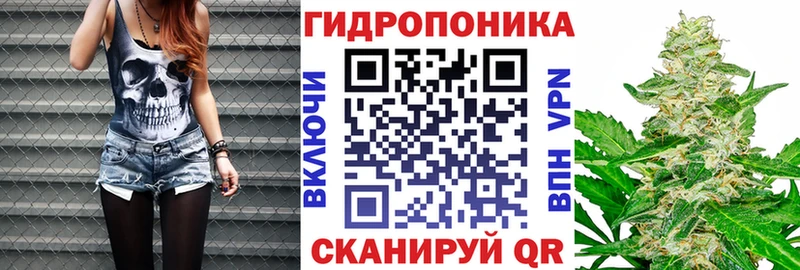 Где купить Алзамай ГАШ  Бошки Шишки  Меф мяу мяу 