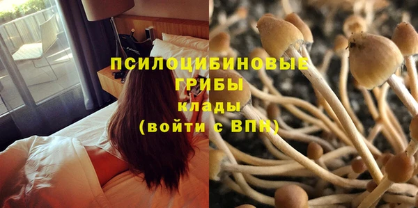 молекула духа Алексеевка