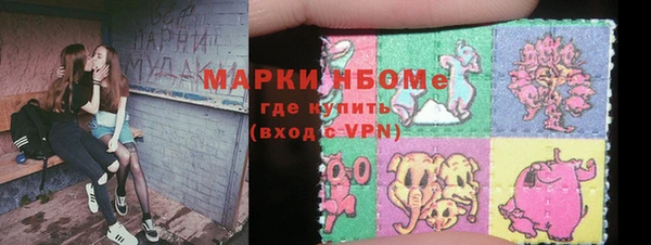 хмурый Рославль